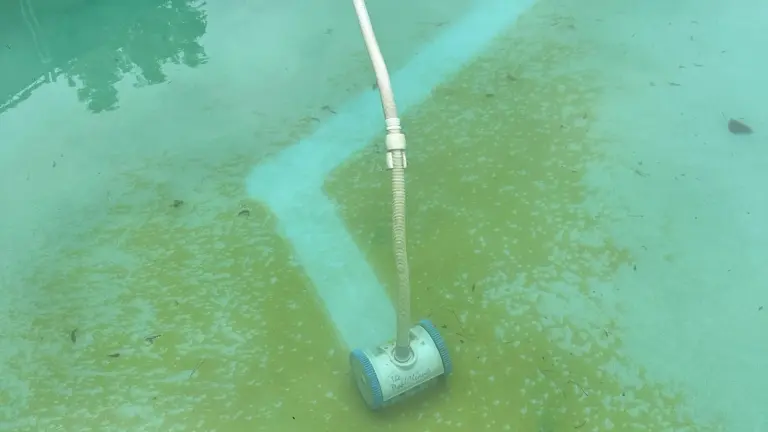 Prevent Pool Algae