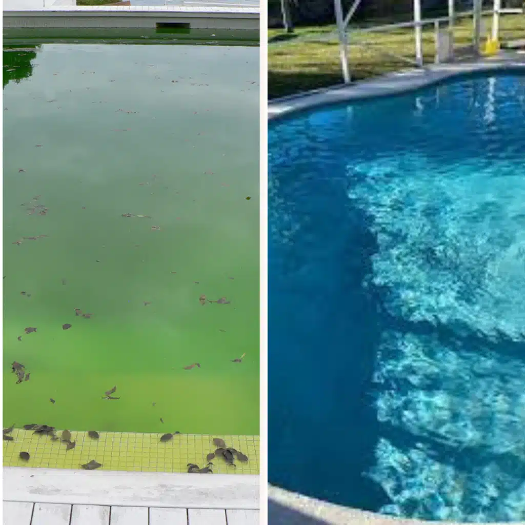 Prevent Pool Algae