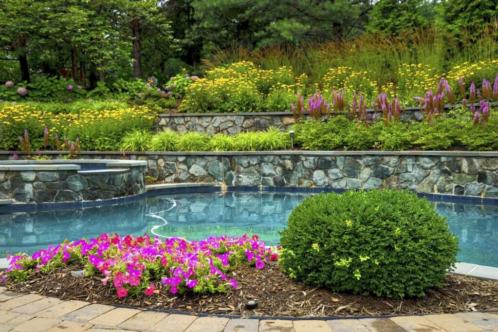 poolside landscaping