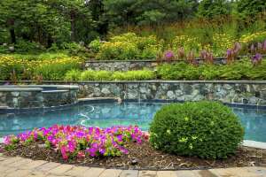 poolside landscaping