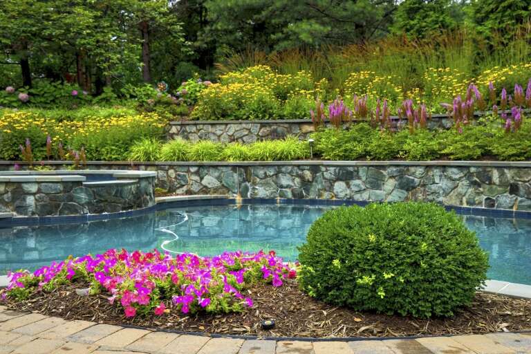 poolside landscaping